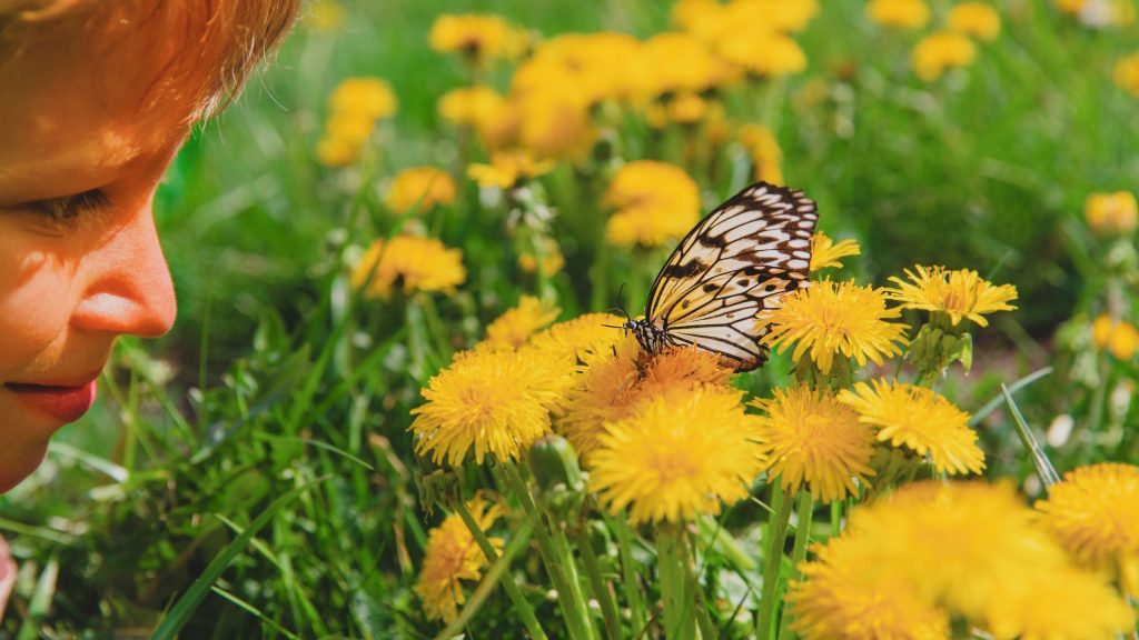 child-looking-at-a-butterfly-sharing-freely